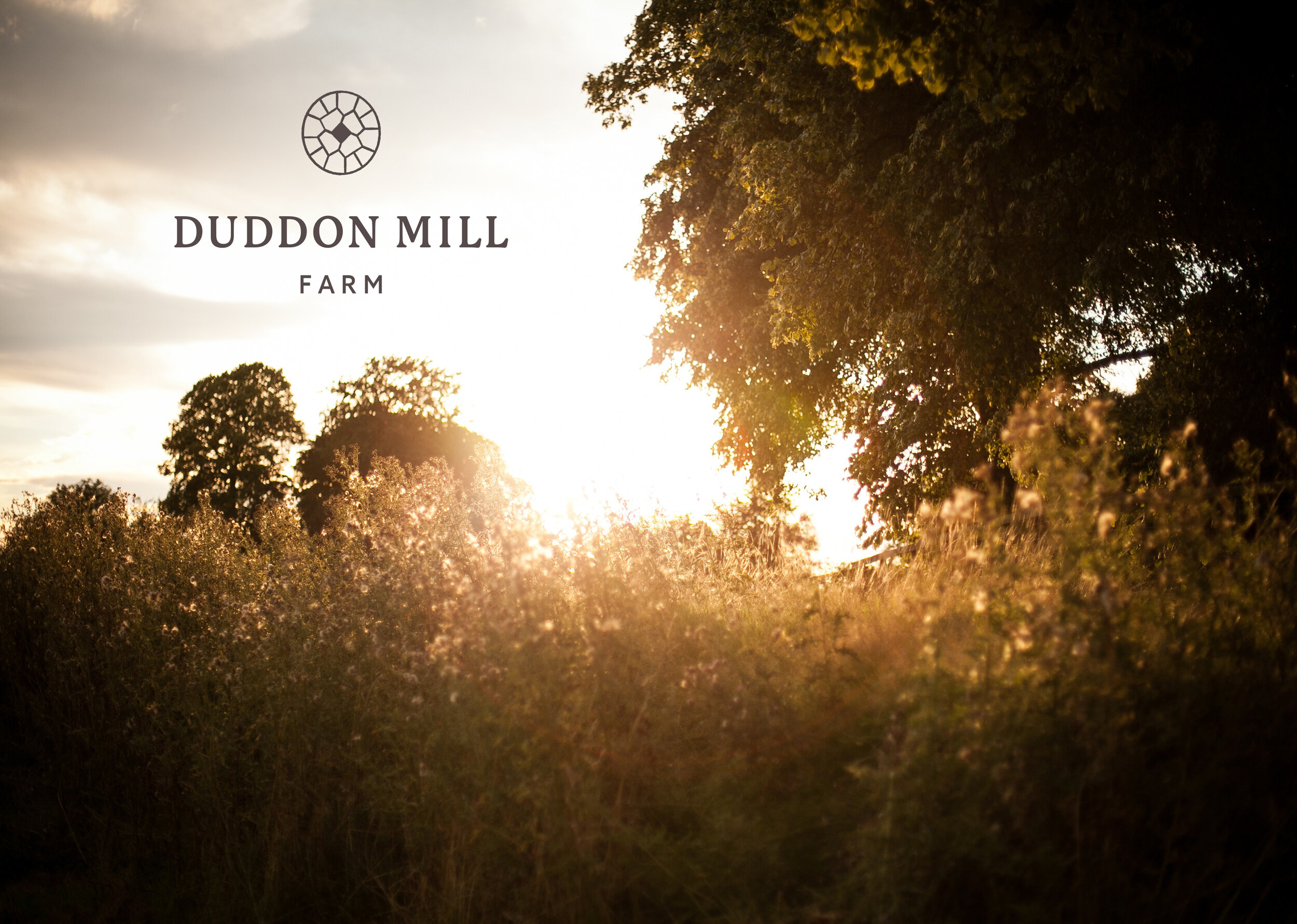 Duddon-Mill-Farm-Brochure-page-1.jpg