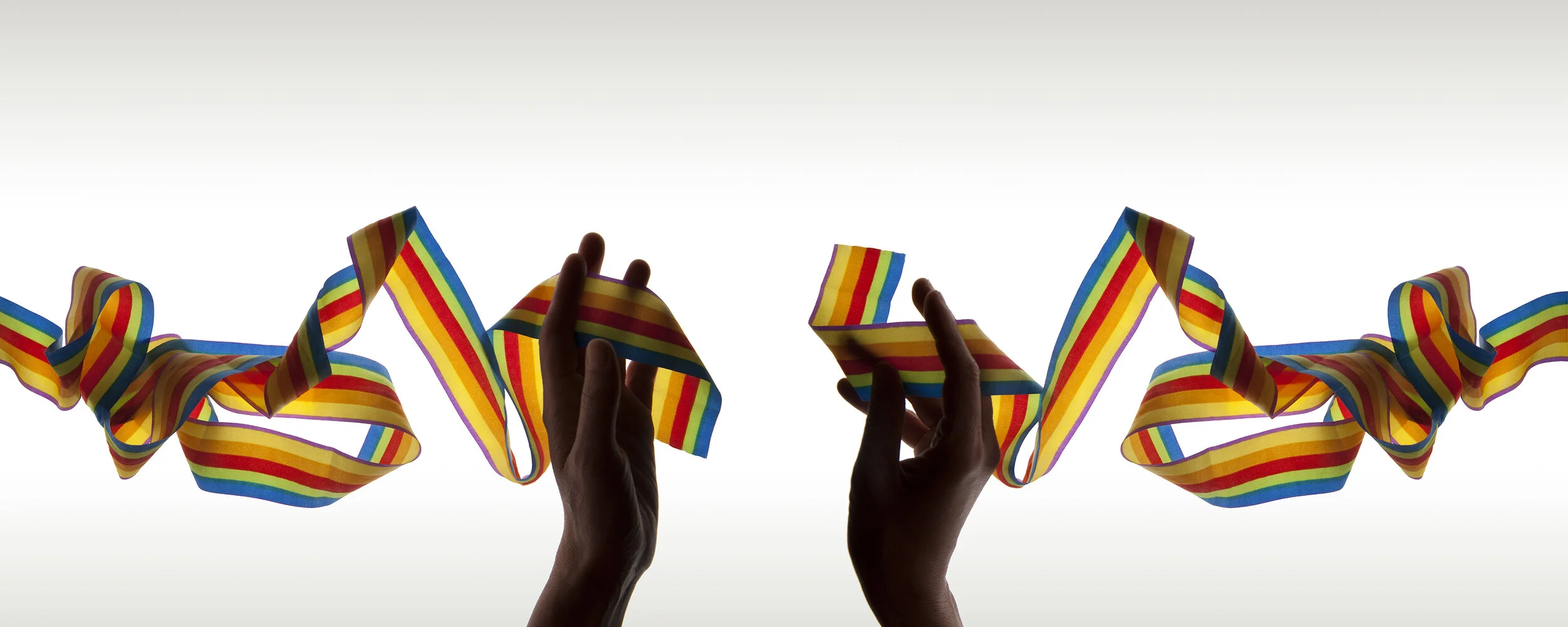 Silent Auction - 30 years of the company !