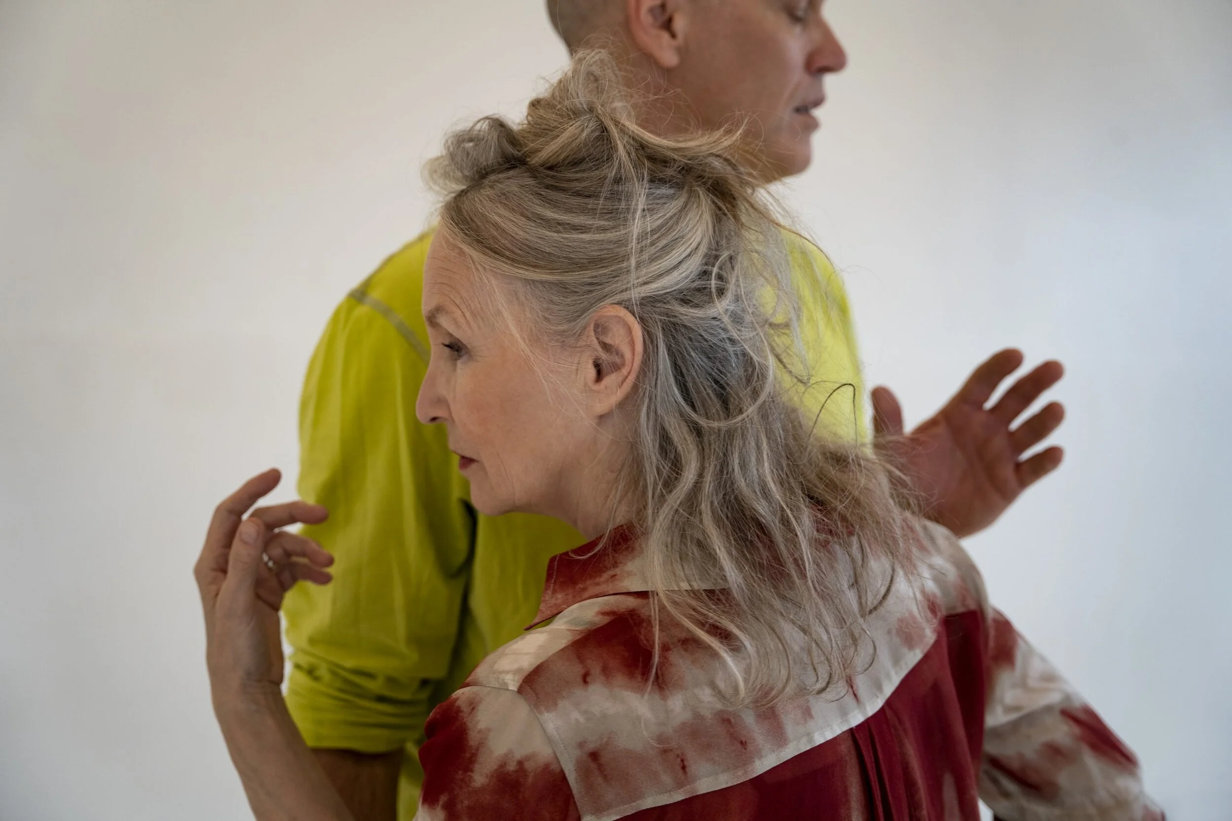 Feldman/Renaud Project at the Festival Quartiers Danses