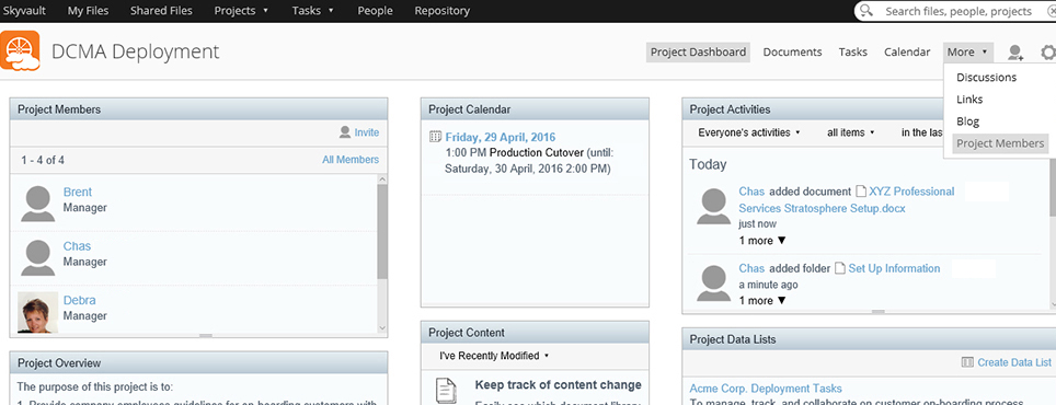 Create dedicated SkyVault project workspaces instantly.