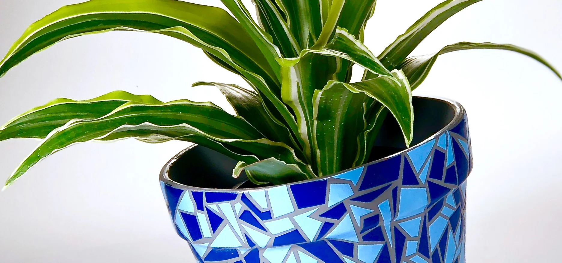 PLANT BANNER.jpg