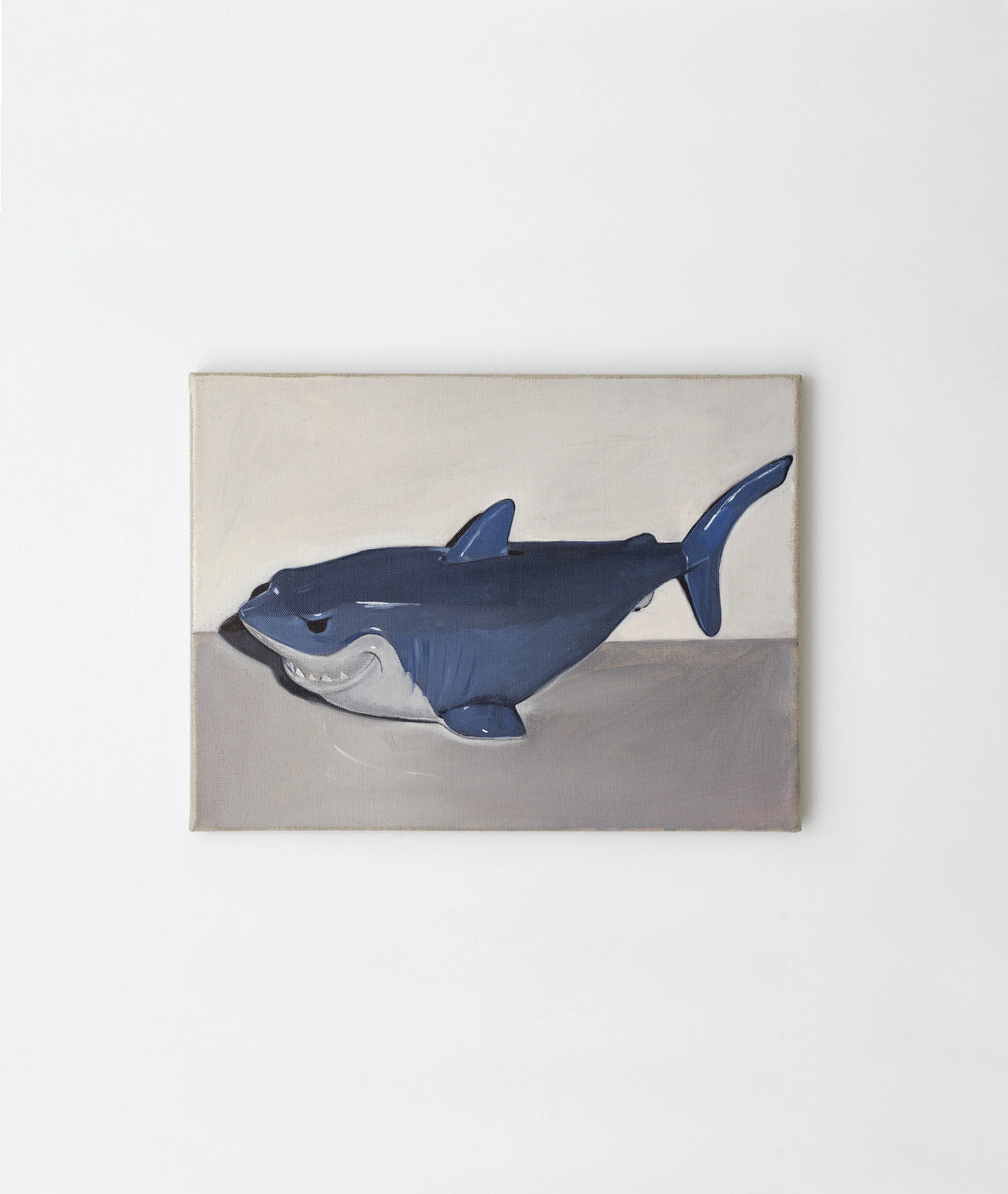 shark.jpg