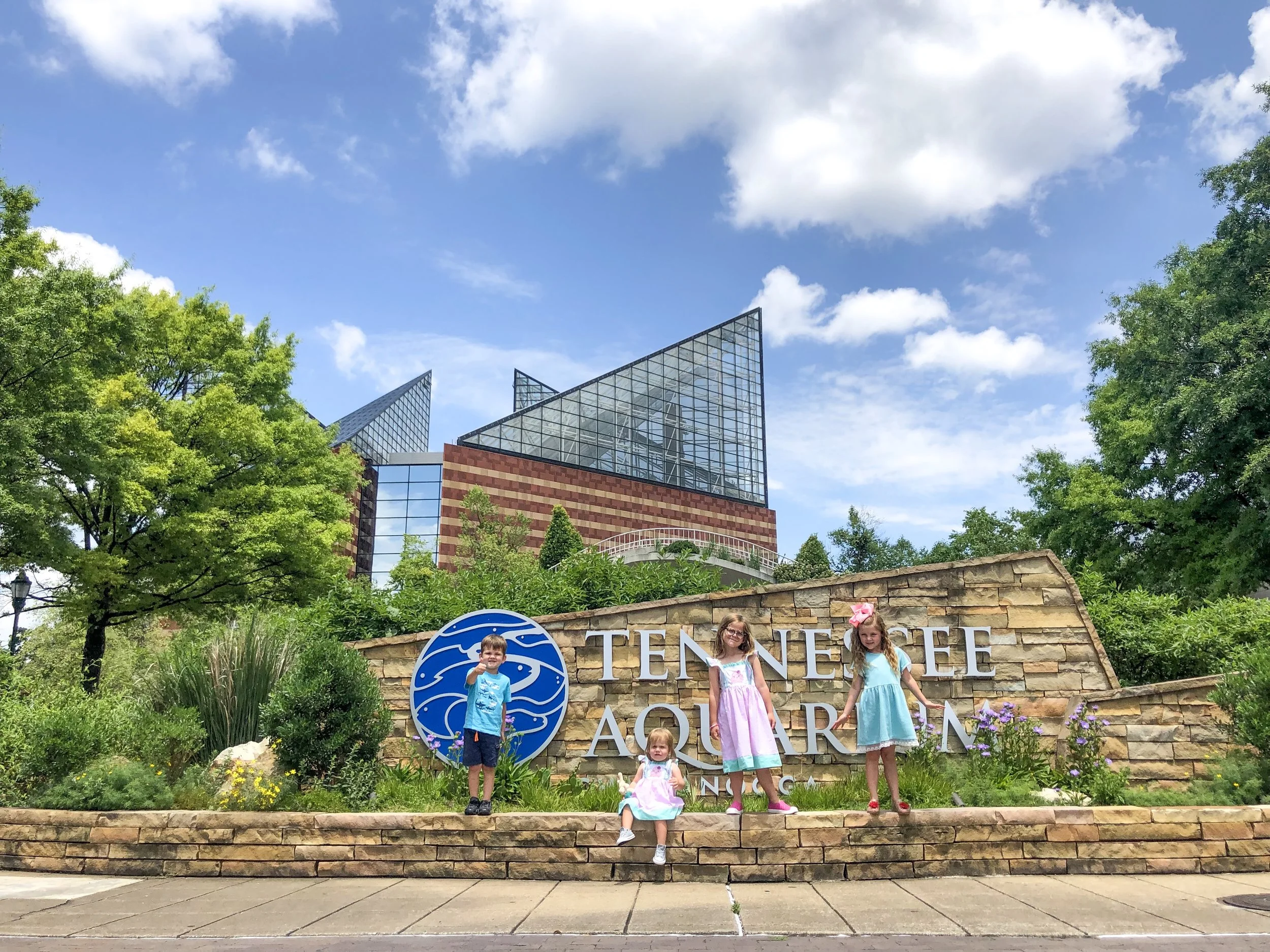 Our visit to the Tennessee Aquarium in Chattanooga