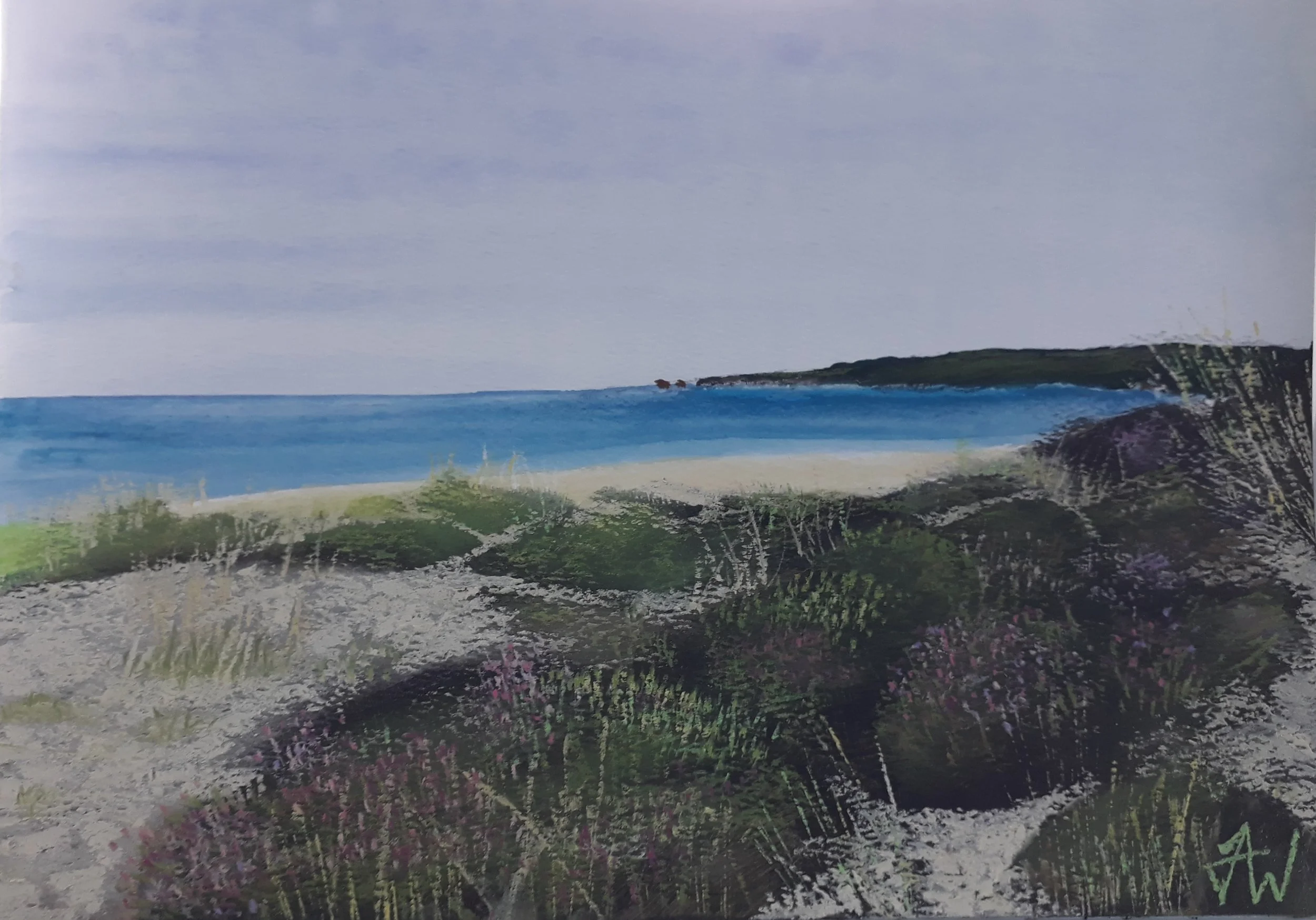 'Studland to Old Harry - Purbeck'