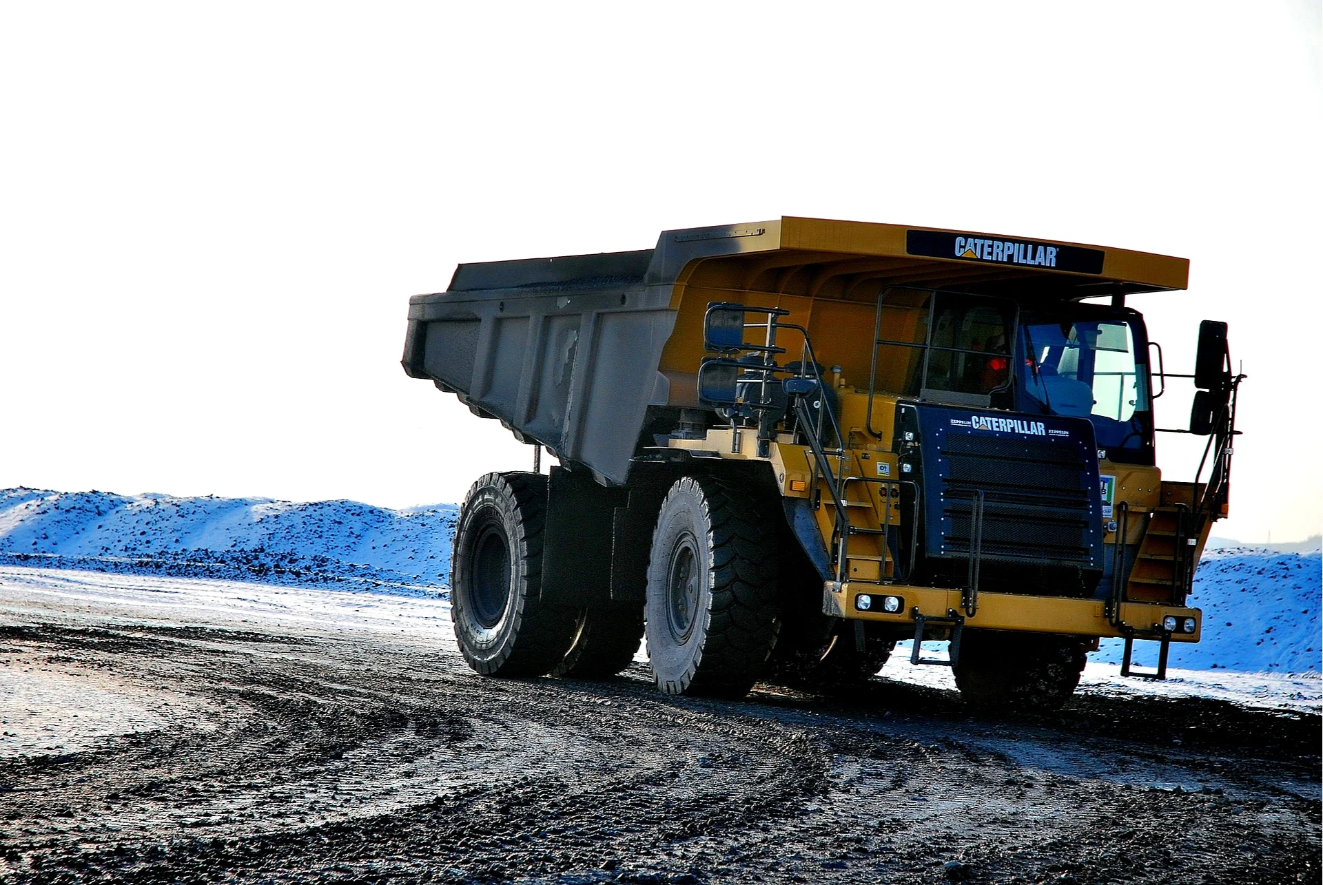 caterpillar-625629_1920.jpg