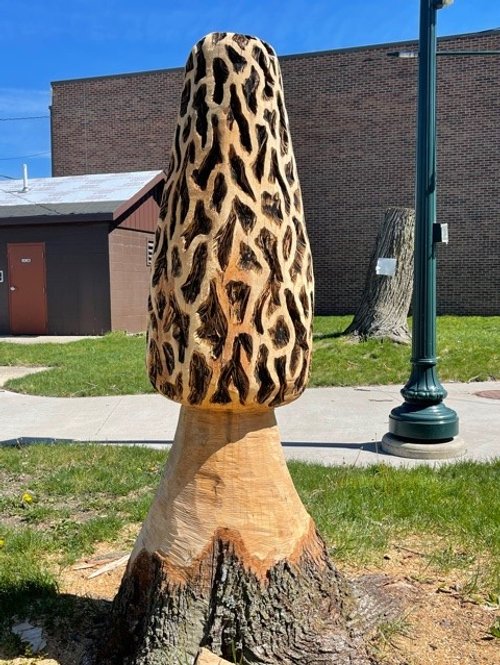 Houby Carving