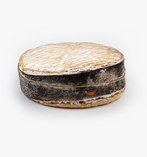 PECHEGOS_DU_TARN_lefromage.fr.jpg