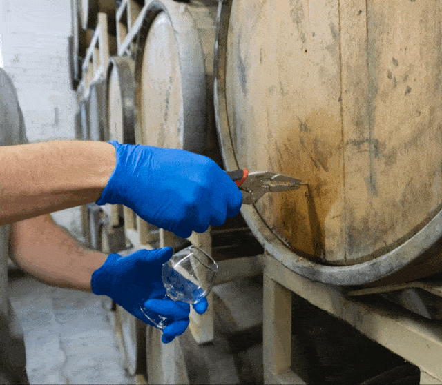 barrel experience.gif