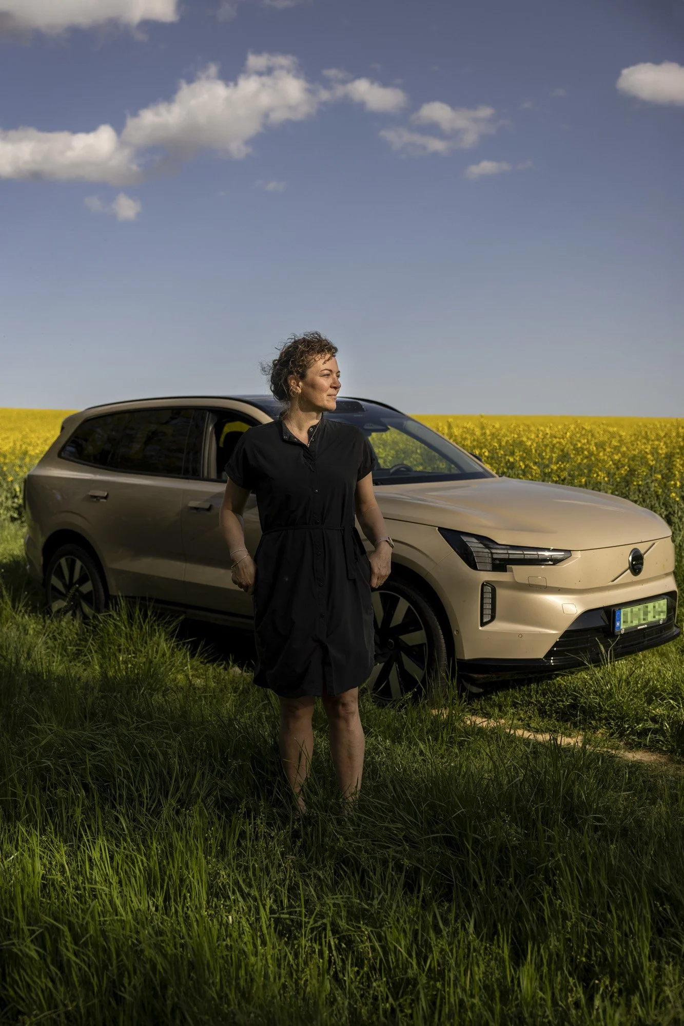Volvo_termeszet_portre.jpg