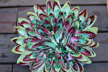 retreat_ibiza_yoga_endive_salad