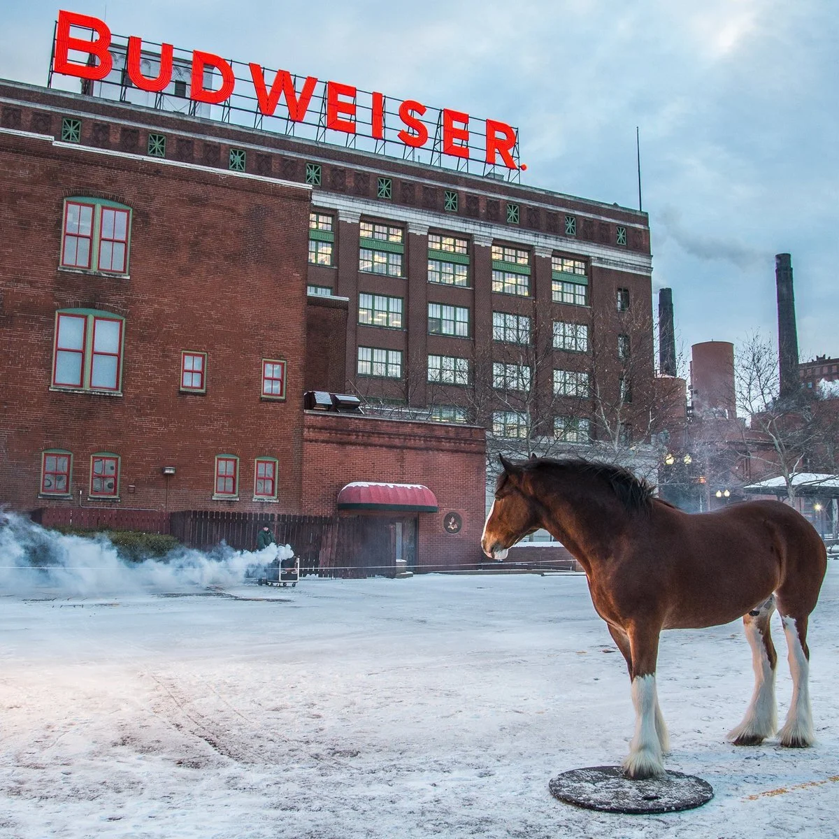 beer country1.jpg