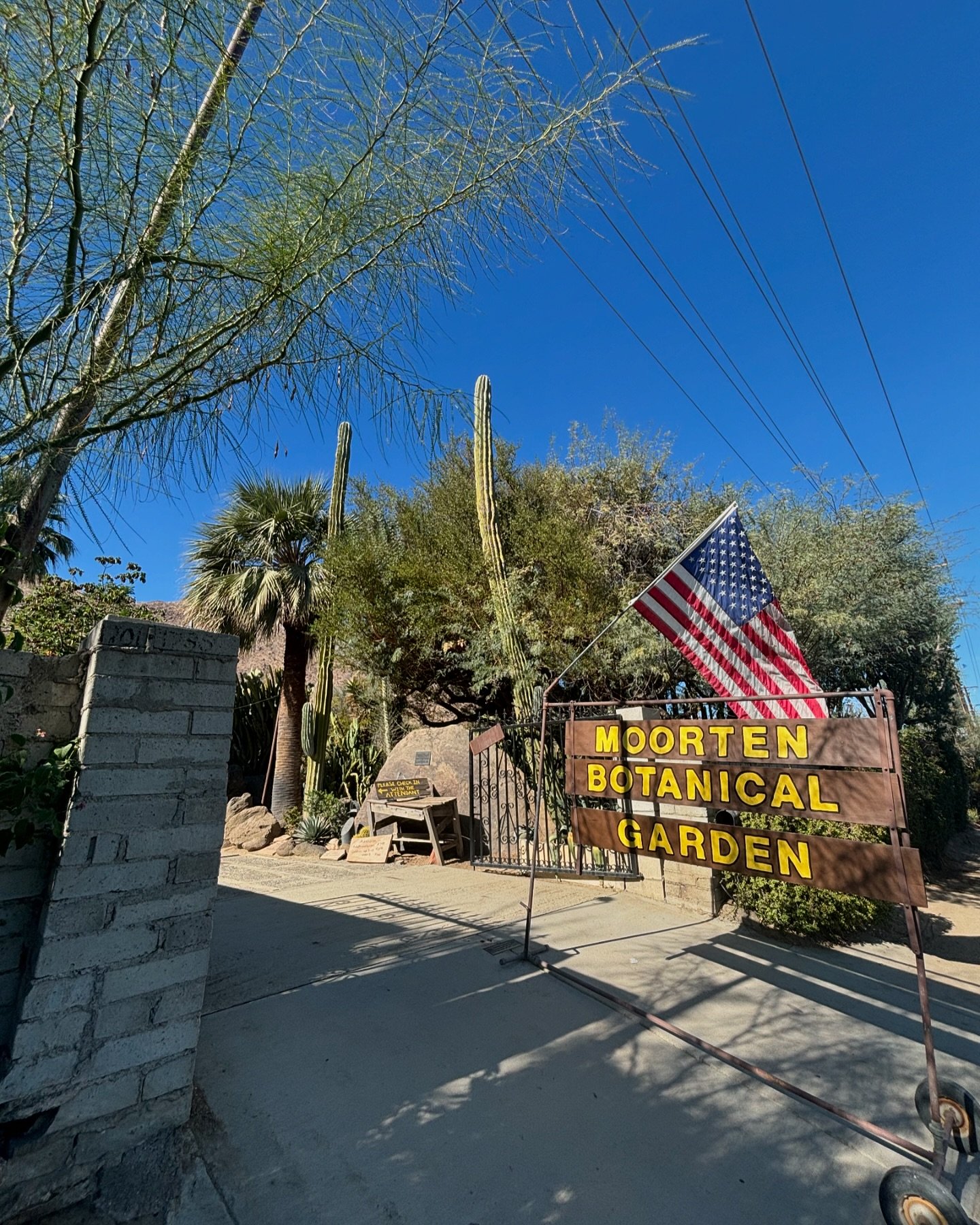 The Moorten Botanical Garden 🌵

The world famous 'Cactarium' had to have its very own post because this place is just THE BEST! Literally one of the most enchanting places I've ever been in all of my life!

Started in 1934 by the Moortens and still 