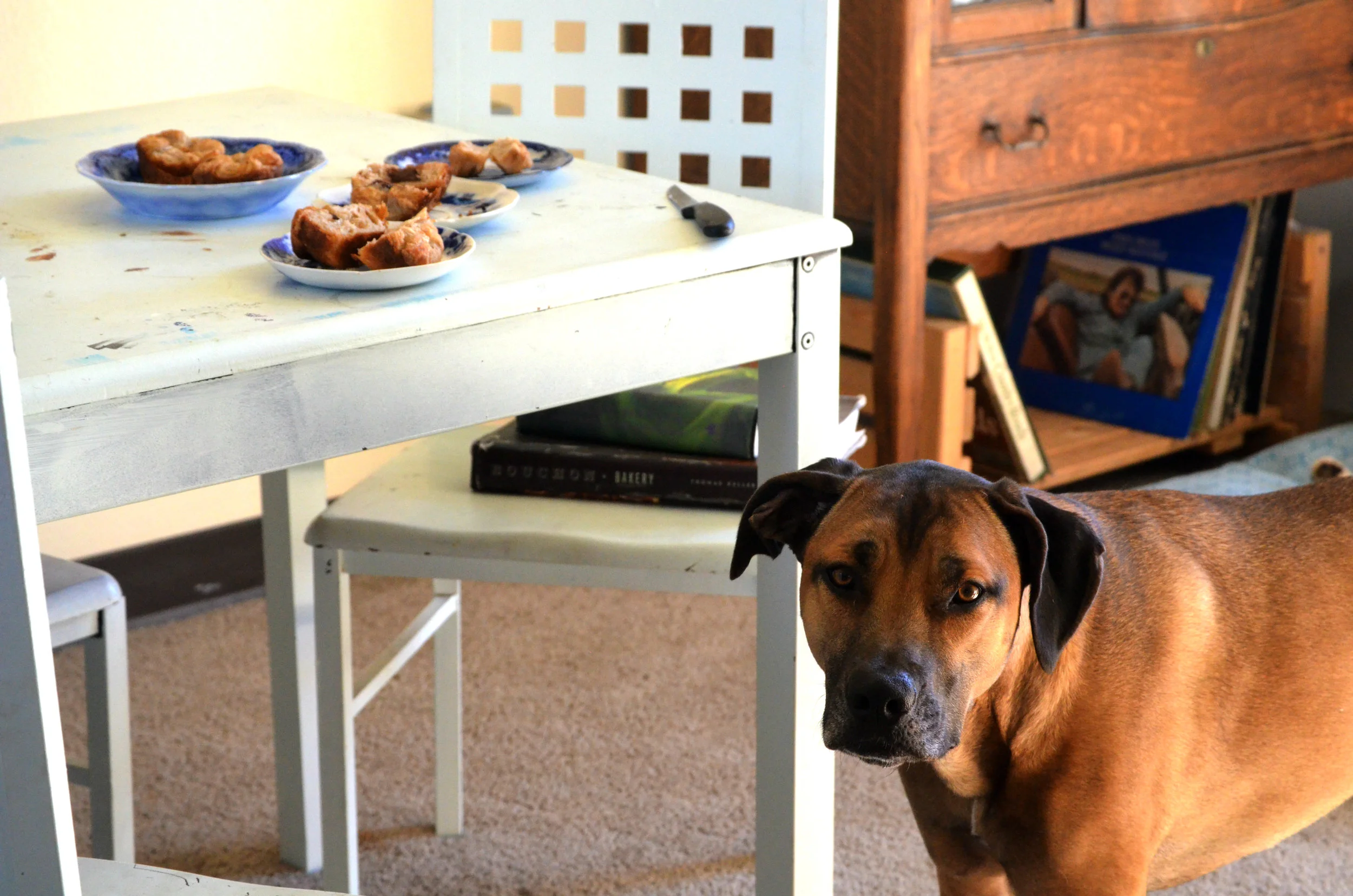Kouign Amann Adventures with Sahara