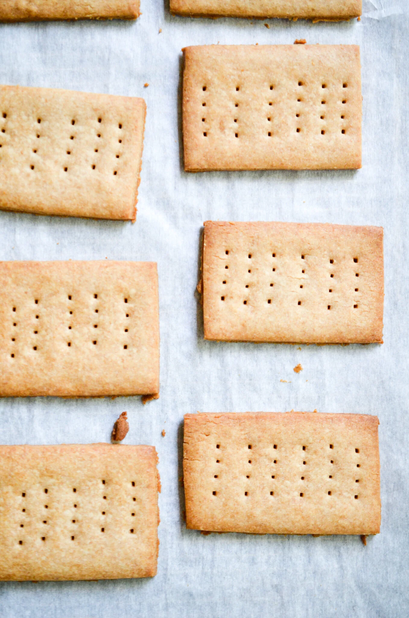 Homemade Graham Crackers