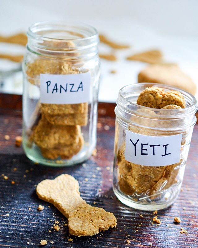 Panza made a new dog friend named Yeti. You can follow him @yeti_thepuppy .
.
I made them dog treats! So easy to make - just 3 ingredients - peanut butter, oats, and applesauce. And you can customize them
.
.
Humans can eat them too lol, just top wit