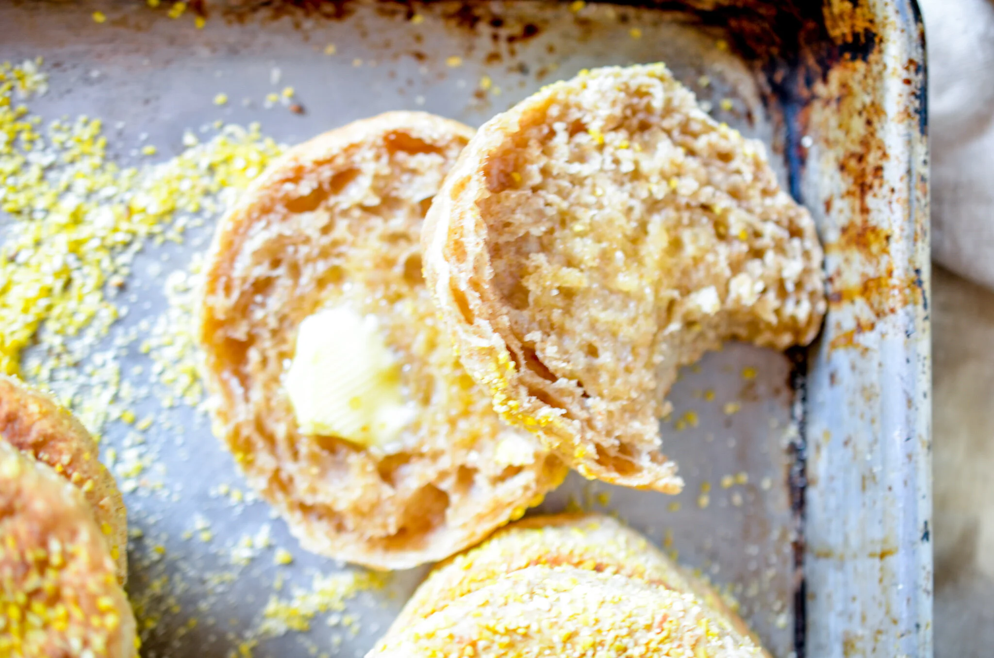 Whole Wheat English Muffins