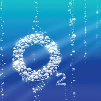 Ways That Hyperbaric Oxygen Therapy Helps Brain Health - Rejuv Wellness Carlsbad &amp; Encinitas