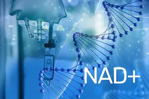 normal dose of semaglutide New to GLP1s: is this is a normal starting dose? : r/Semaglutide normal dose of semaglutide New to GLP1s: is this is a normal starting dose? : r/Semaglutide