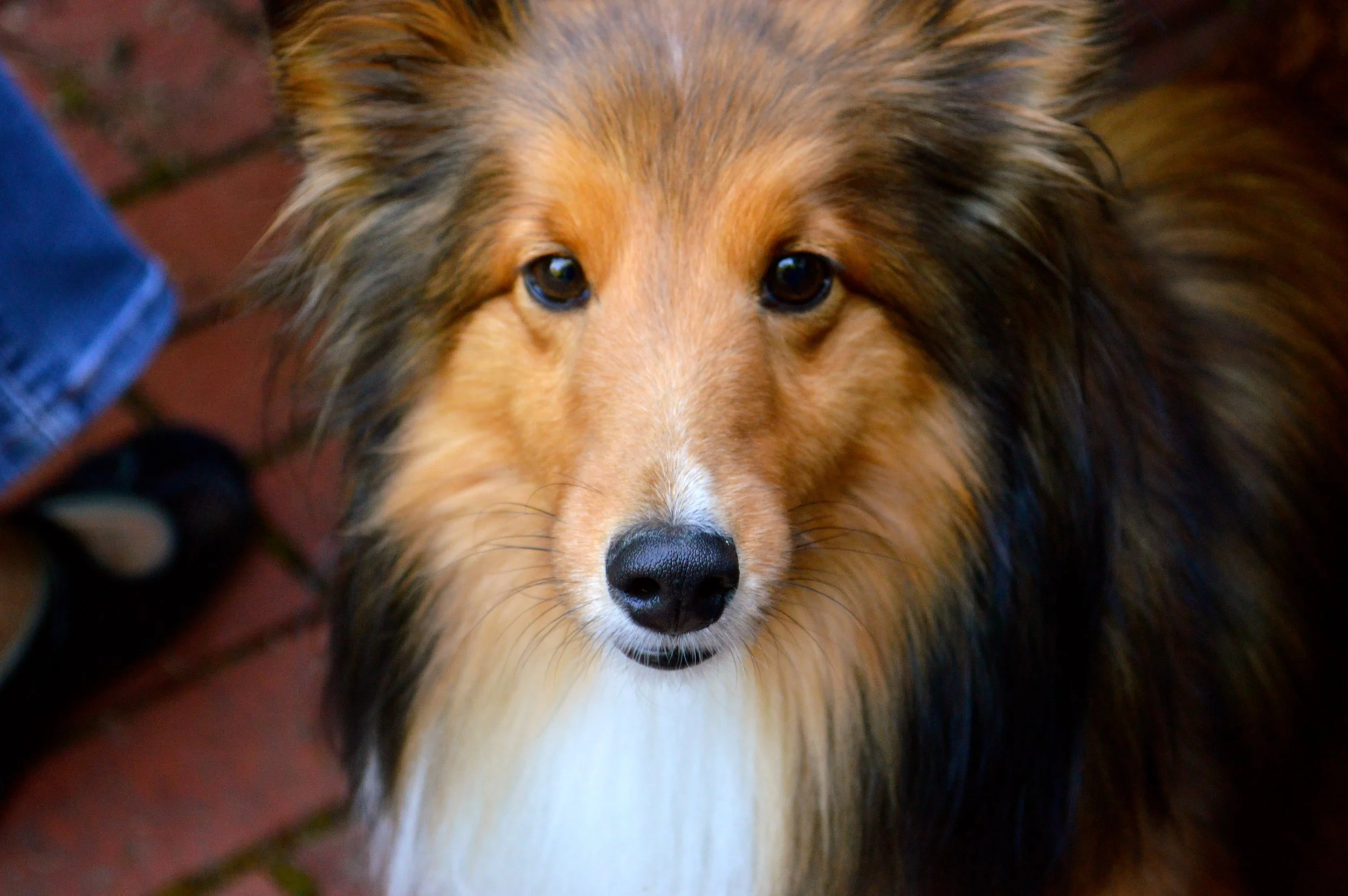 DSC_0917.jpg