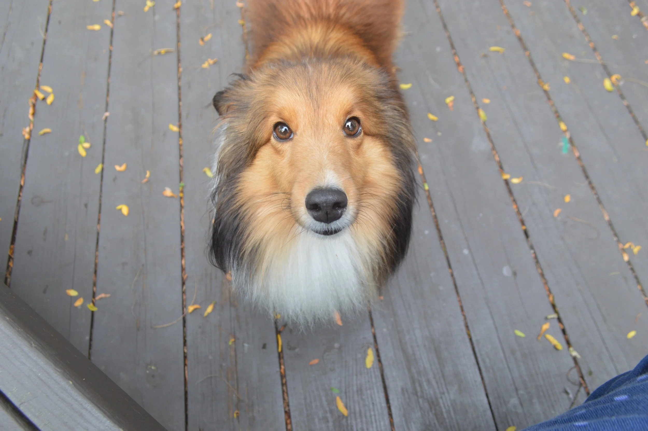 DSC_0922.jpg