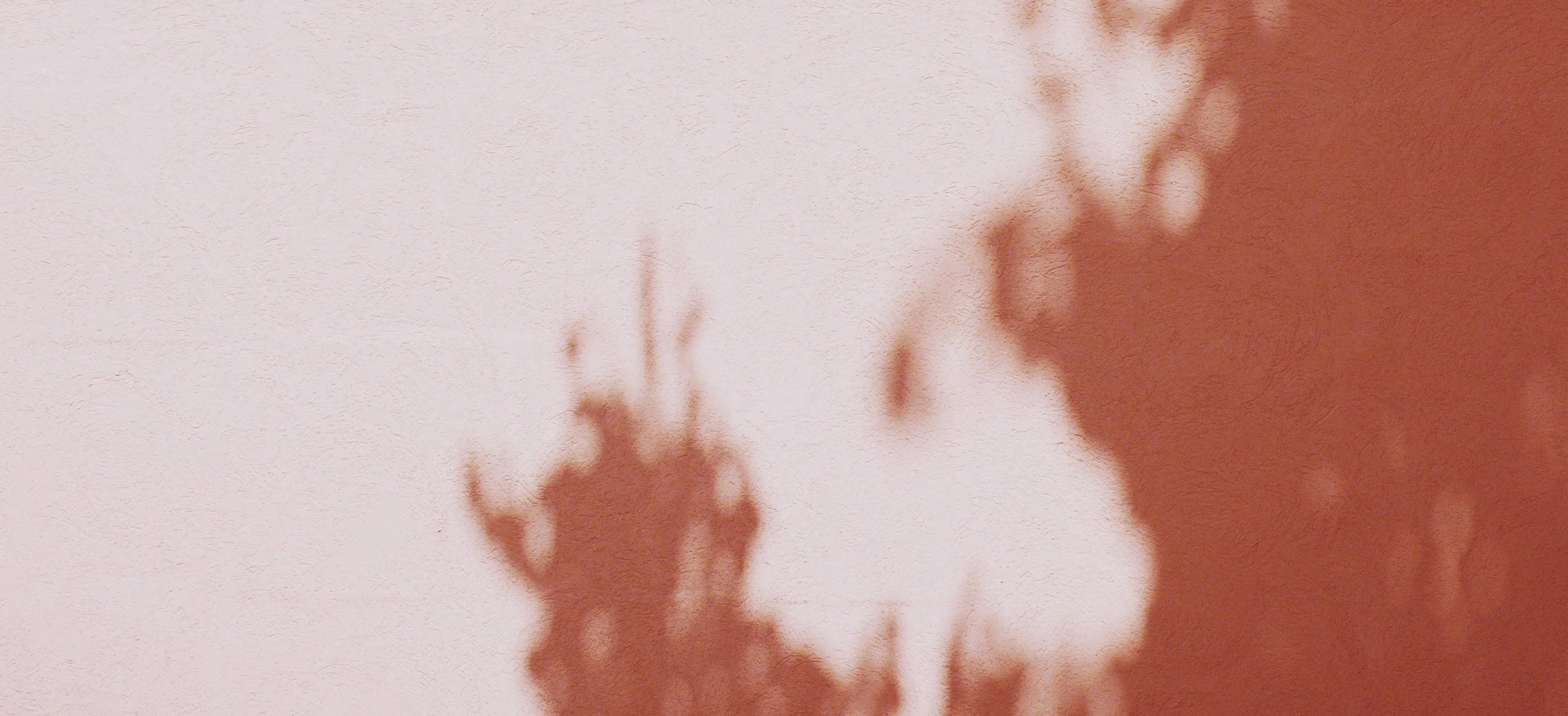 Religion vs. Faith: The Same but Different