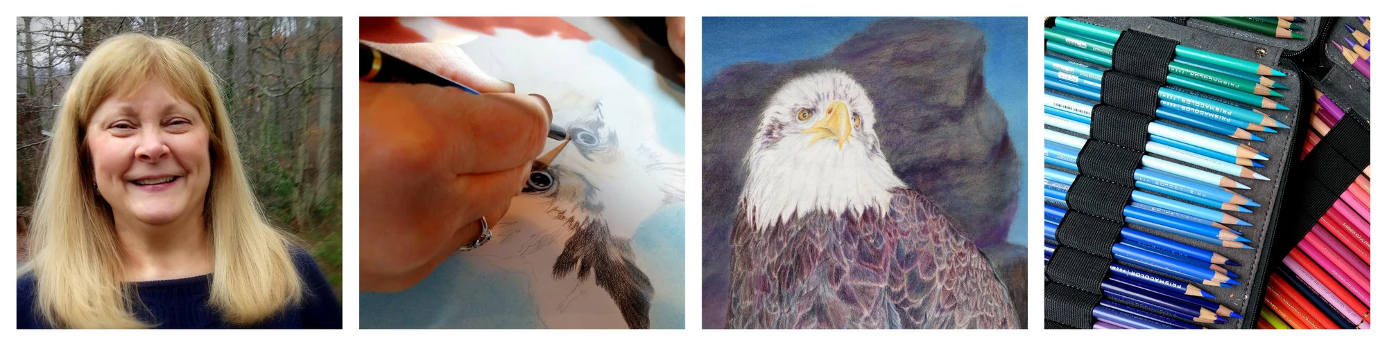 Contact, Painter, Colored Pencils, Andrea Stutesman, Asheville, Black Mountain, NC-001.jpg