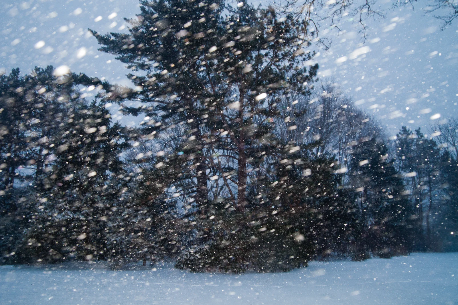 snow.jpg
