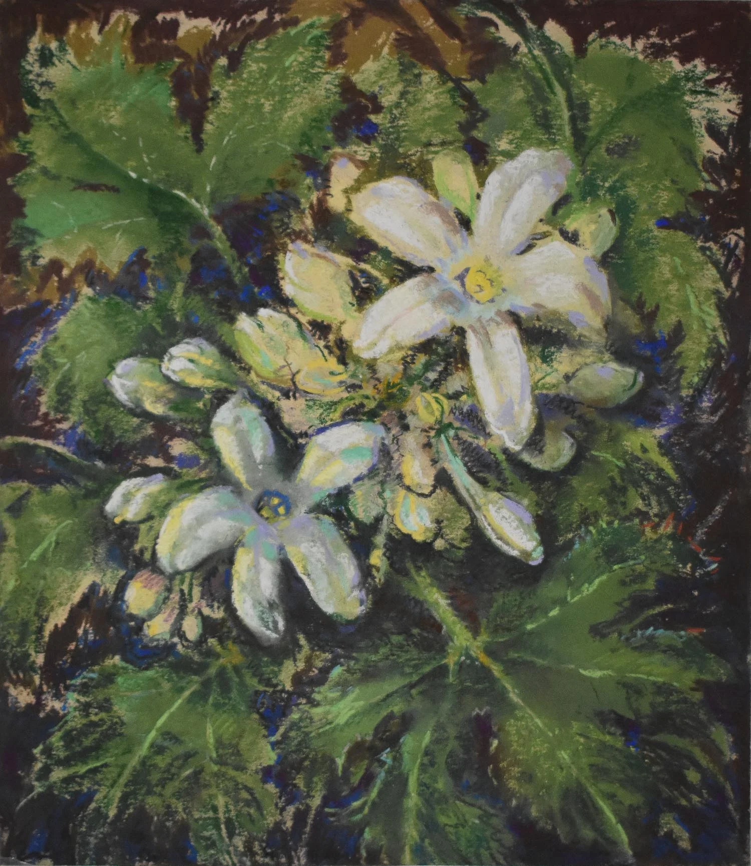 Stevens - Floral.jpg