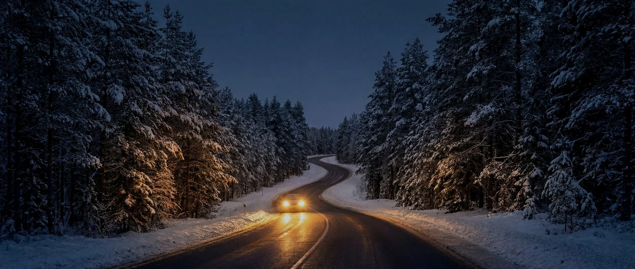 A winding snowy mountain road through a dense forest with snow-covered trees on either side, illuminated by car headlights during nighttime.