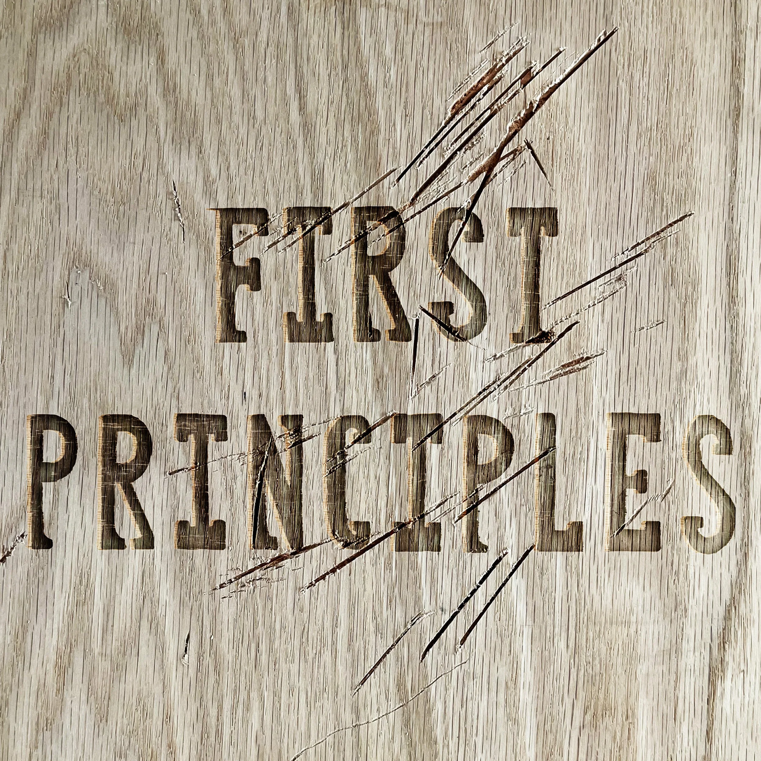 2022-02-14_CustomDesign_FirstPrinciples_Logo2_Final.jpg