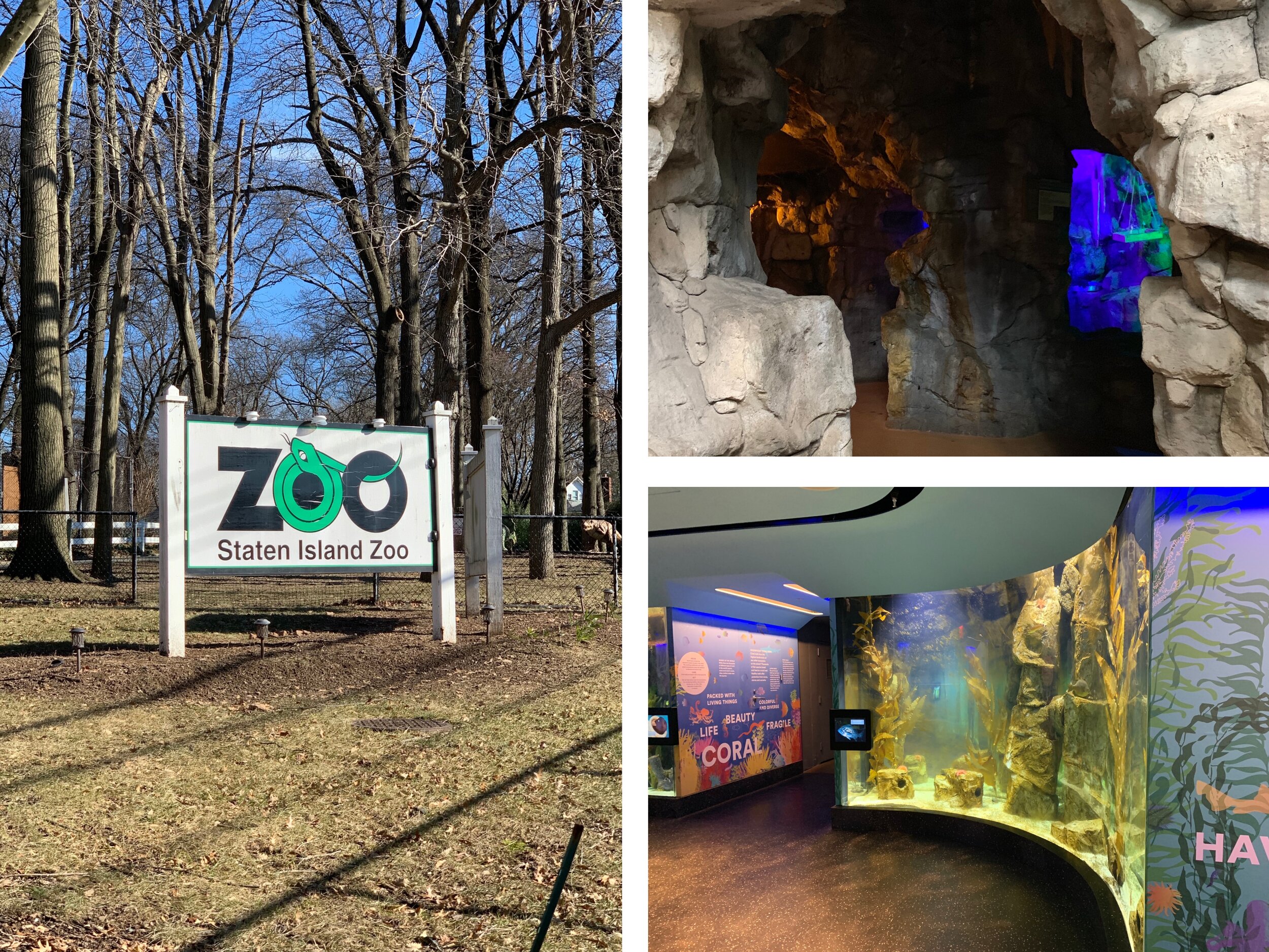 Staten Island Zoo &amp; Aquarium