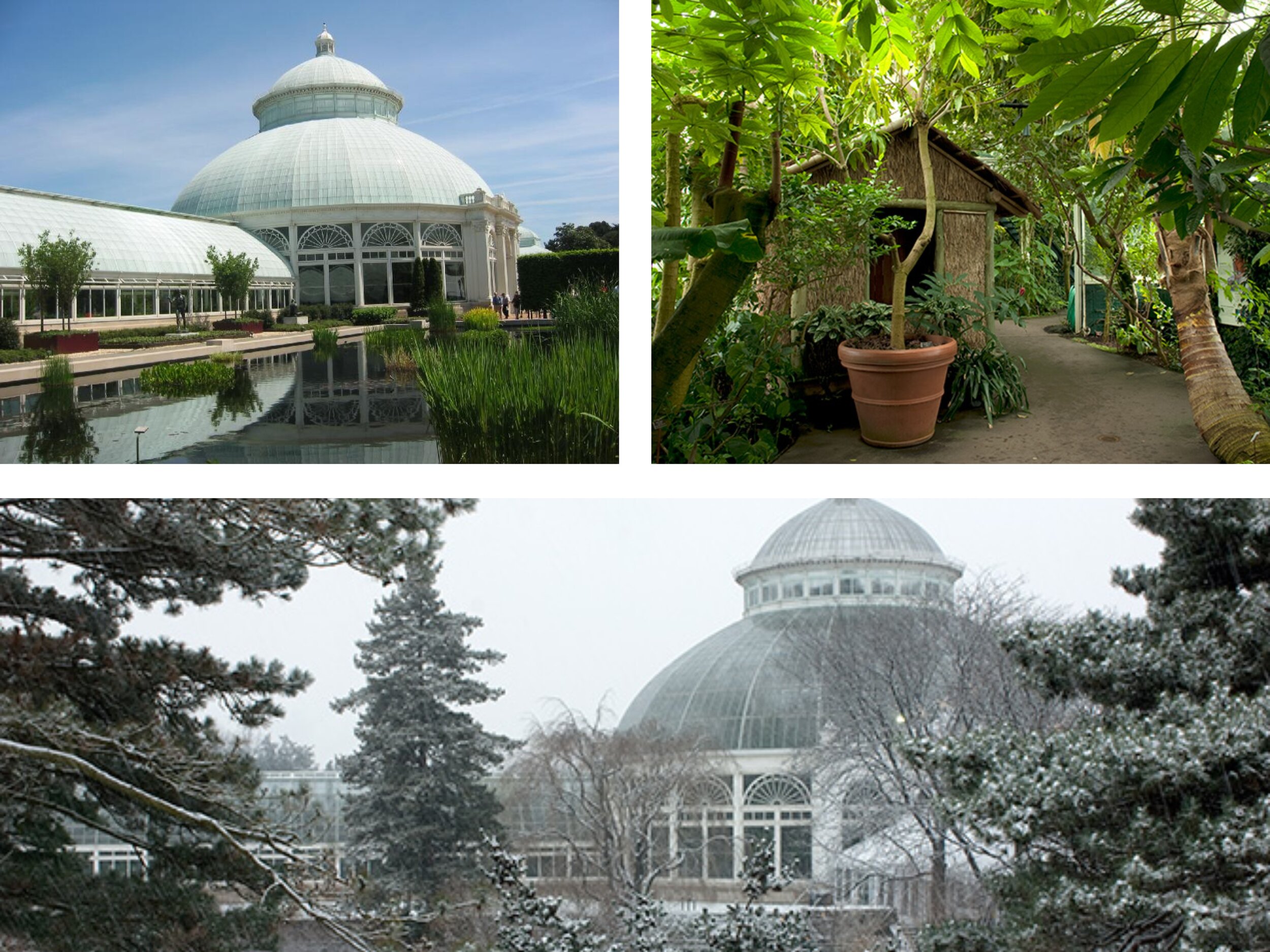 Enid Haupt Conservatory at the New York Botanical Garden