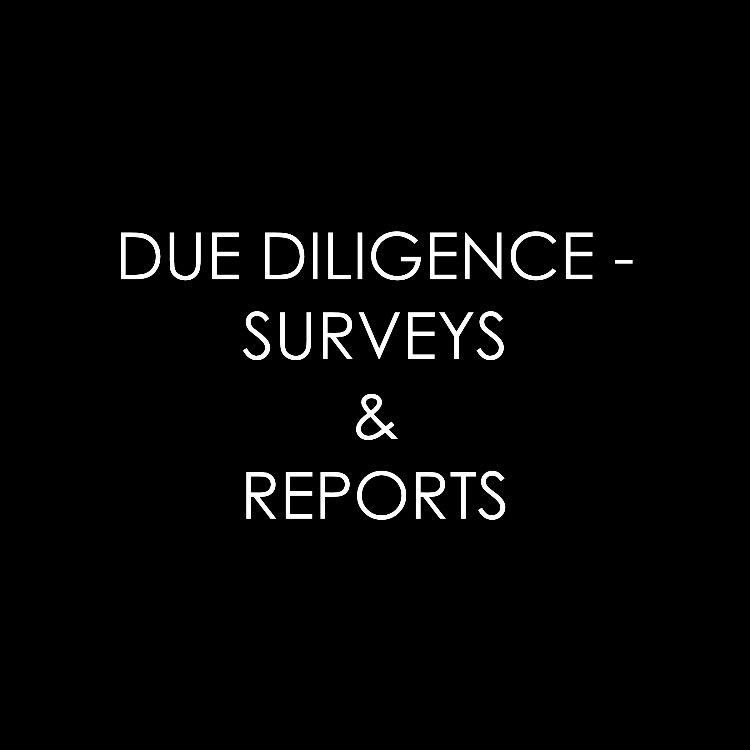 Due Diligence.png