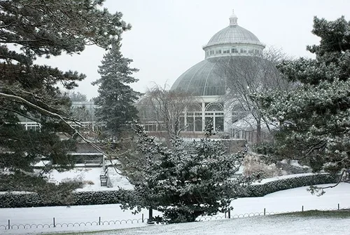 CONSERVATORIES