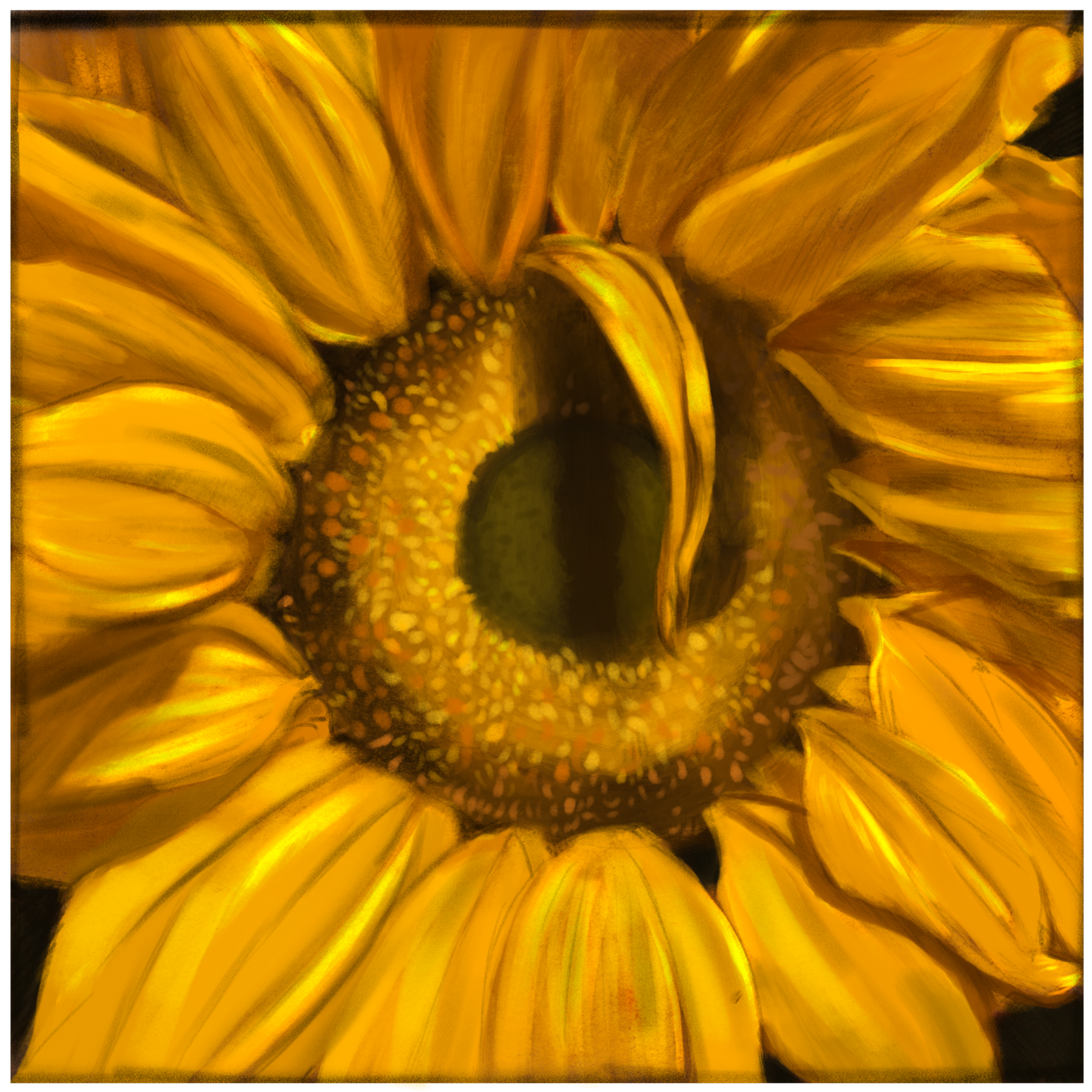 Sun_in_a_flower_v4.png