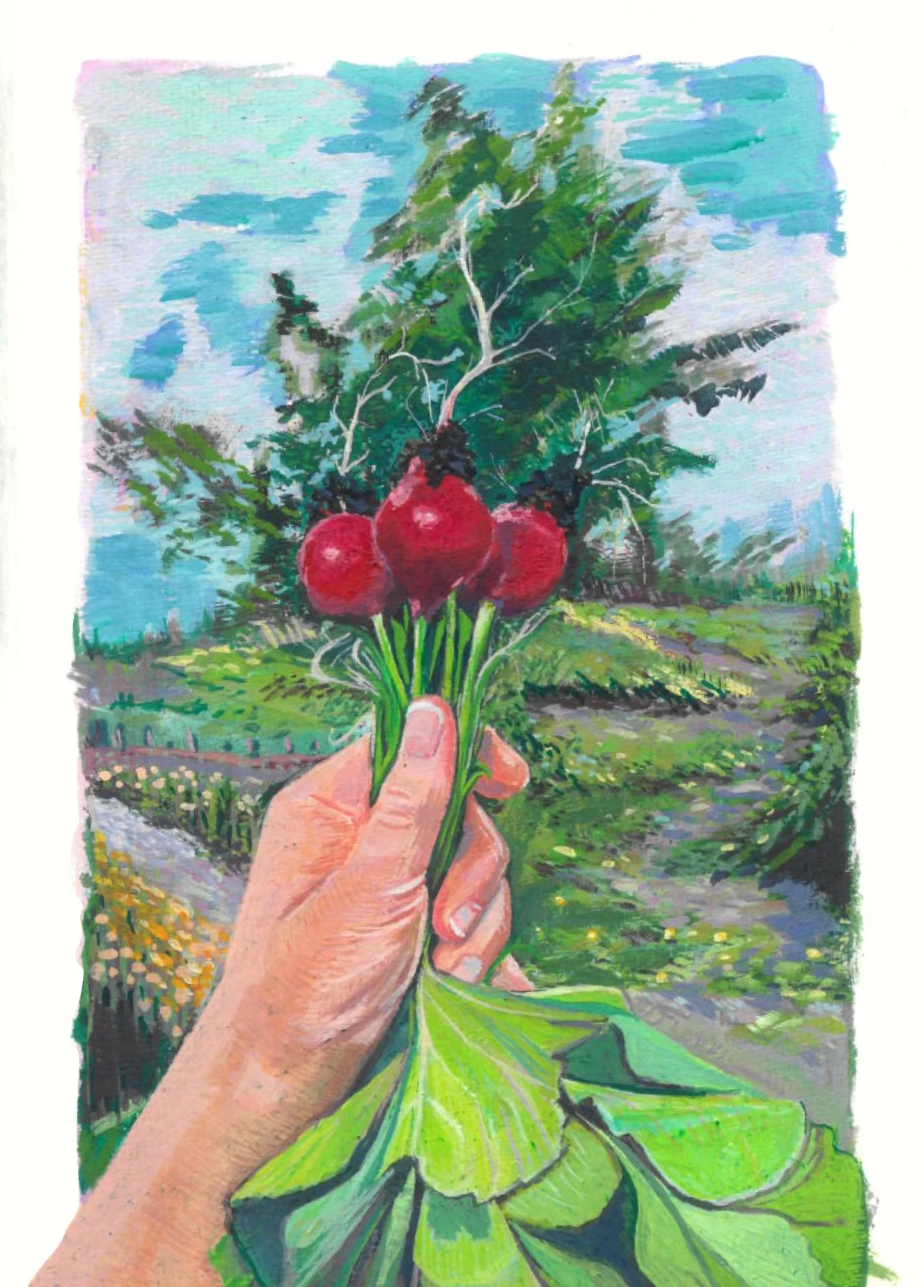 Ruby Radish | 2025