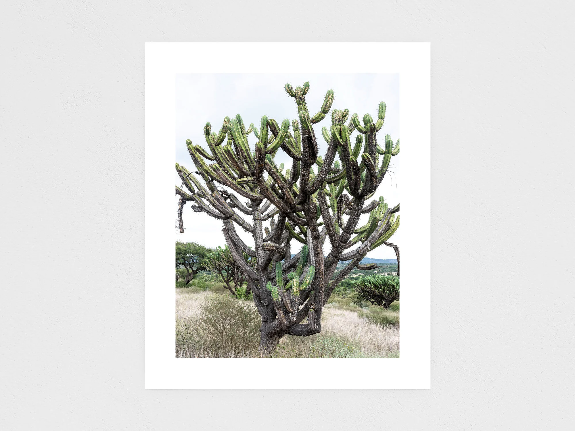 high five. three