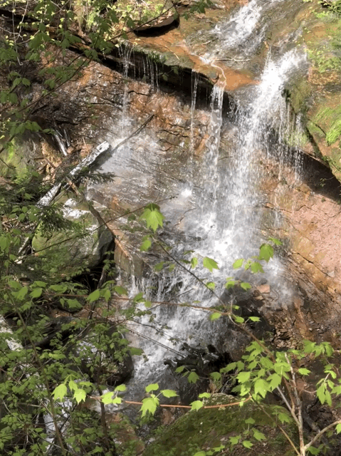 Waterfalls and Wildflowers: Bayfield Peninsula in Spring