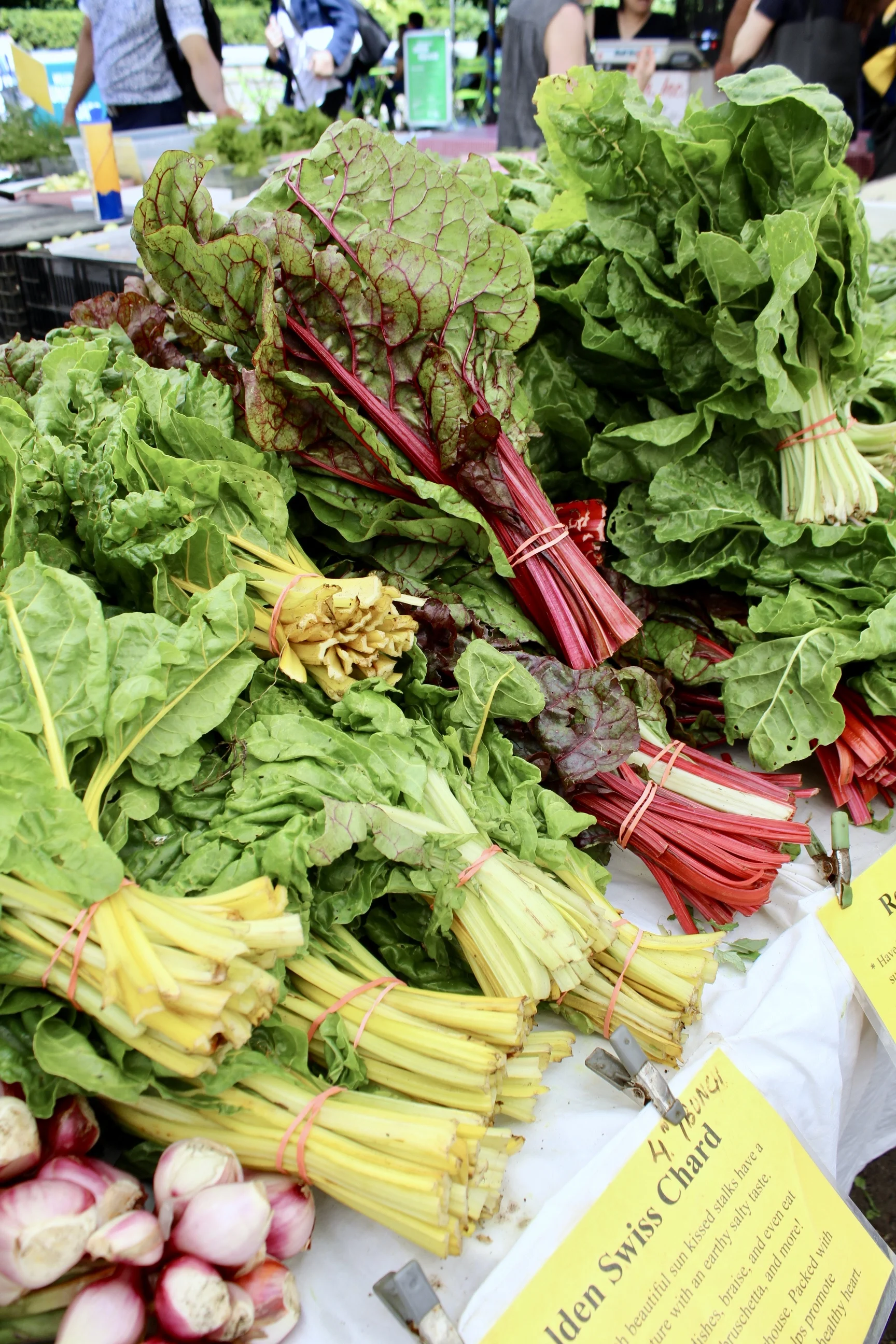 Health Benefits Of Swiss Chard The Lalo Lab Health Benefits Of Swiss Chard The Lalo Lab