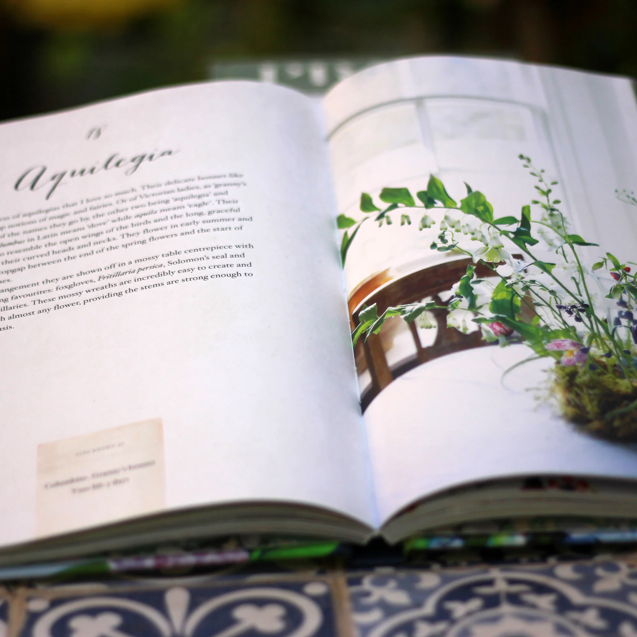 IMG_8500-Book-Flourish-inside.jpg