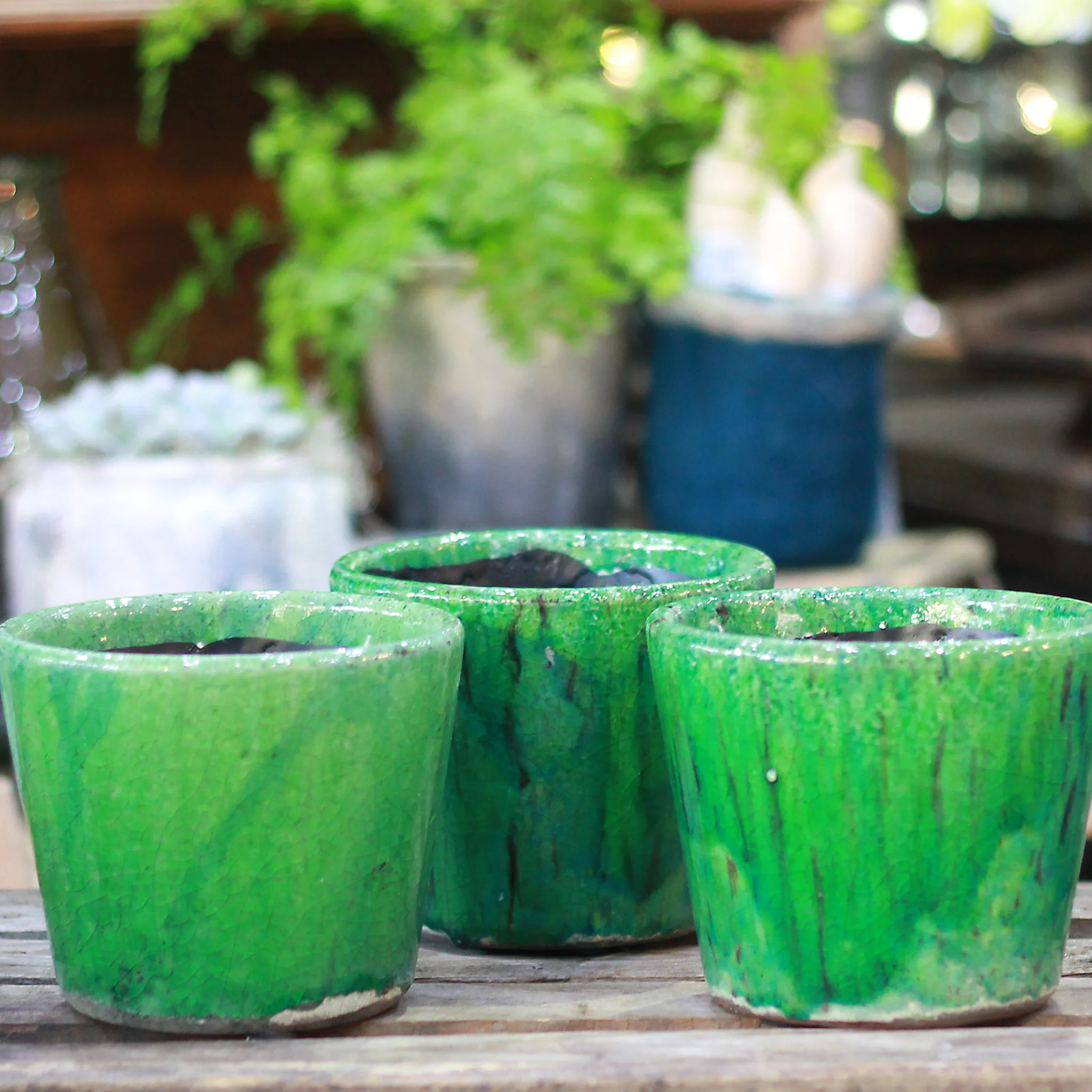 OS_DutchPots_GreenGroup_Sq_2048px.jpg