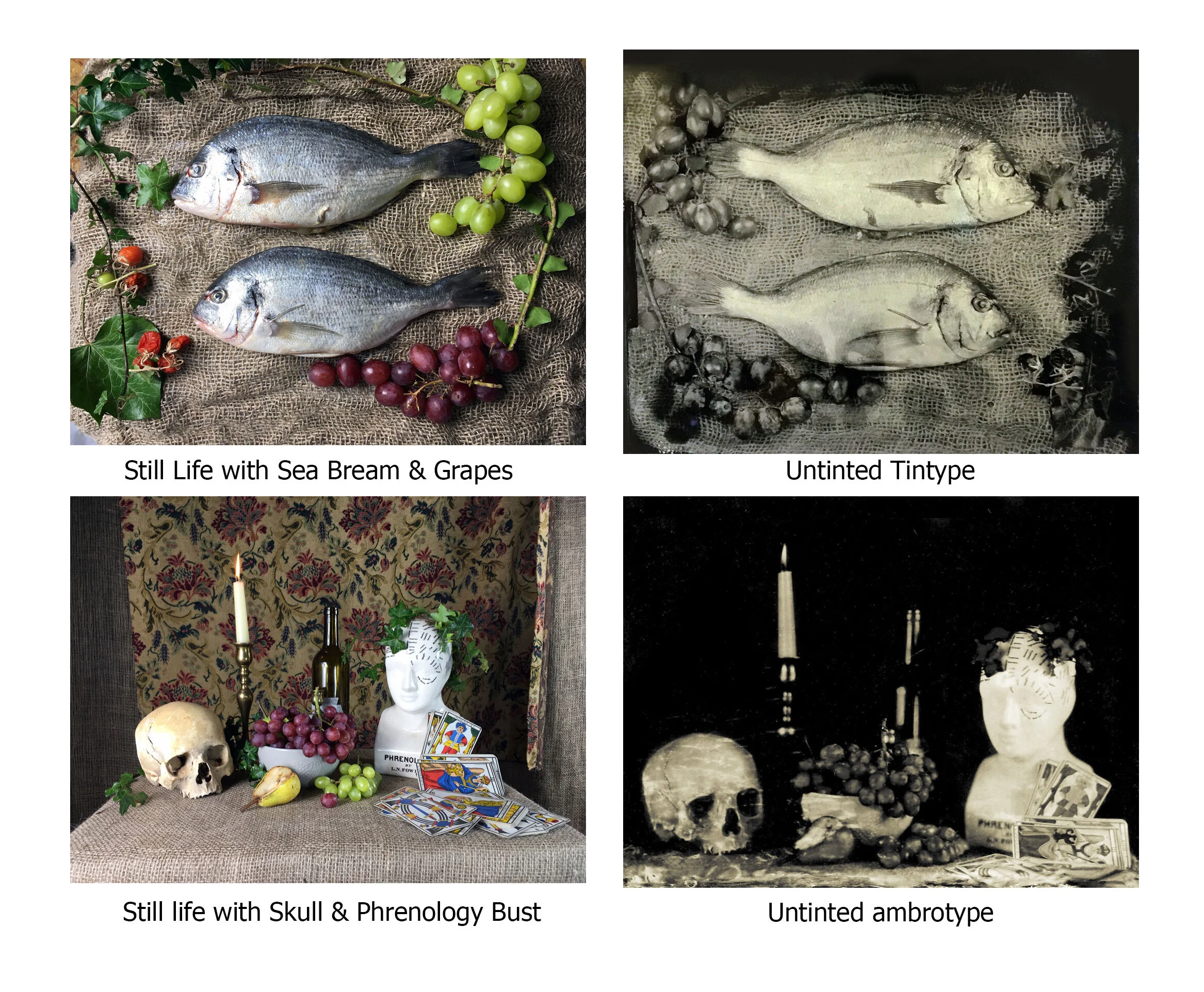 still lifes.jpg