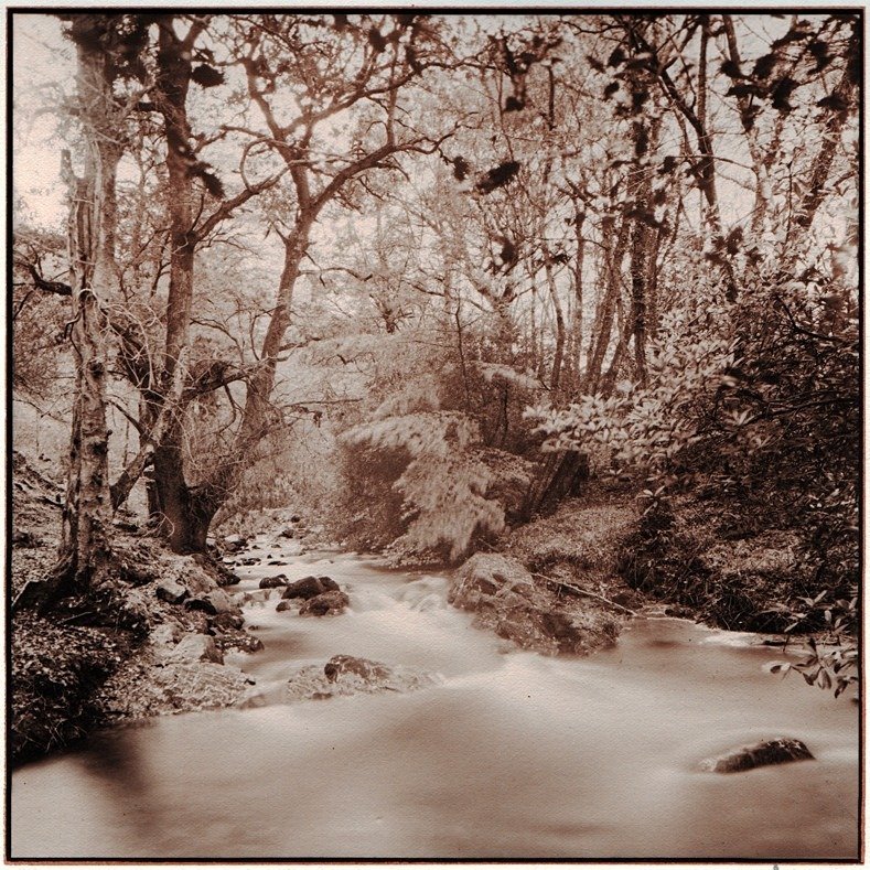 River Taw, Devon. Gum over palladium