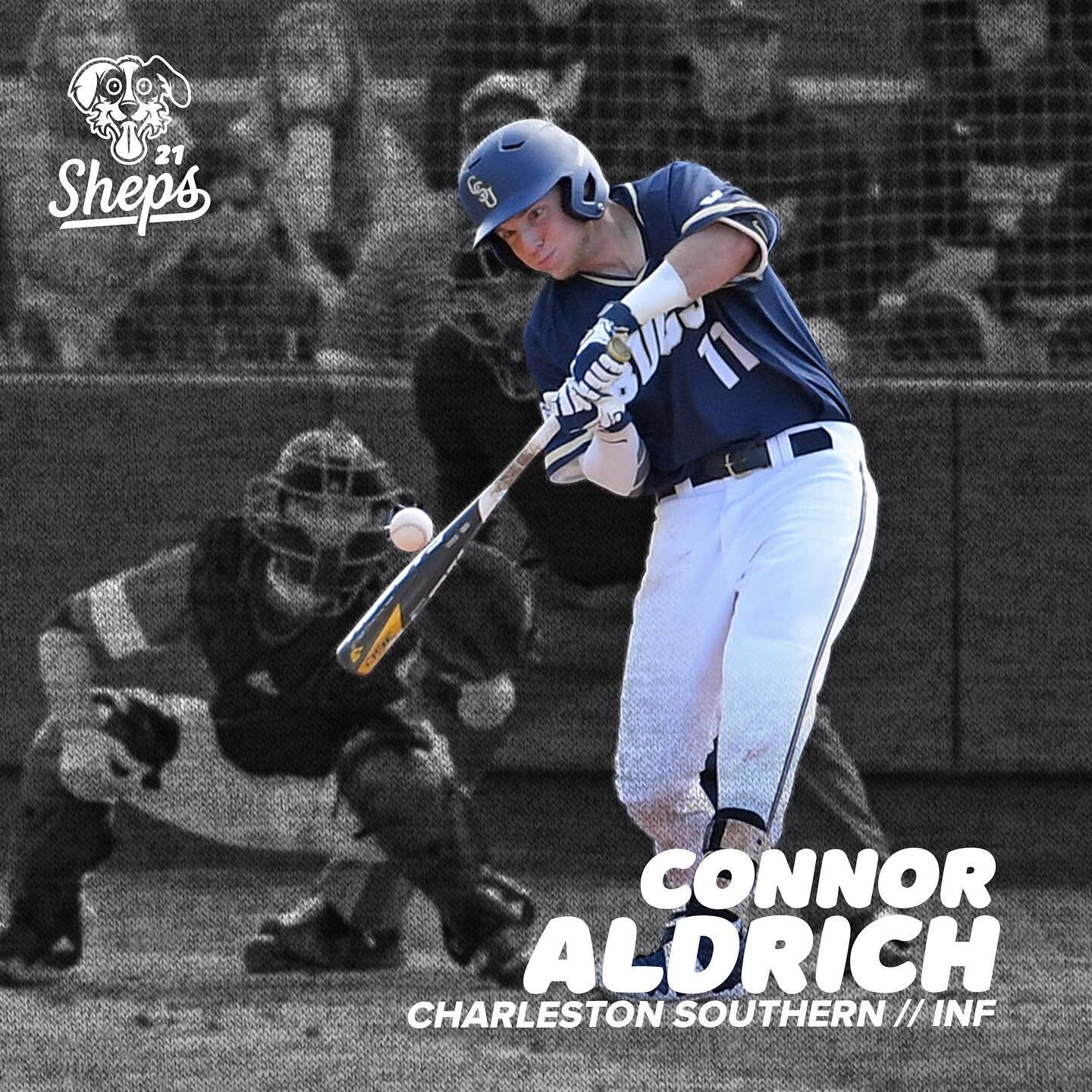 The first of two from the @csubucs, Connor Aldrich (@c_aldrich7) joins the Shepherds this summer after coming off of a great weekend against UNC Asheville.