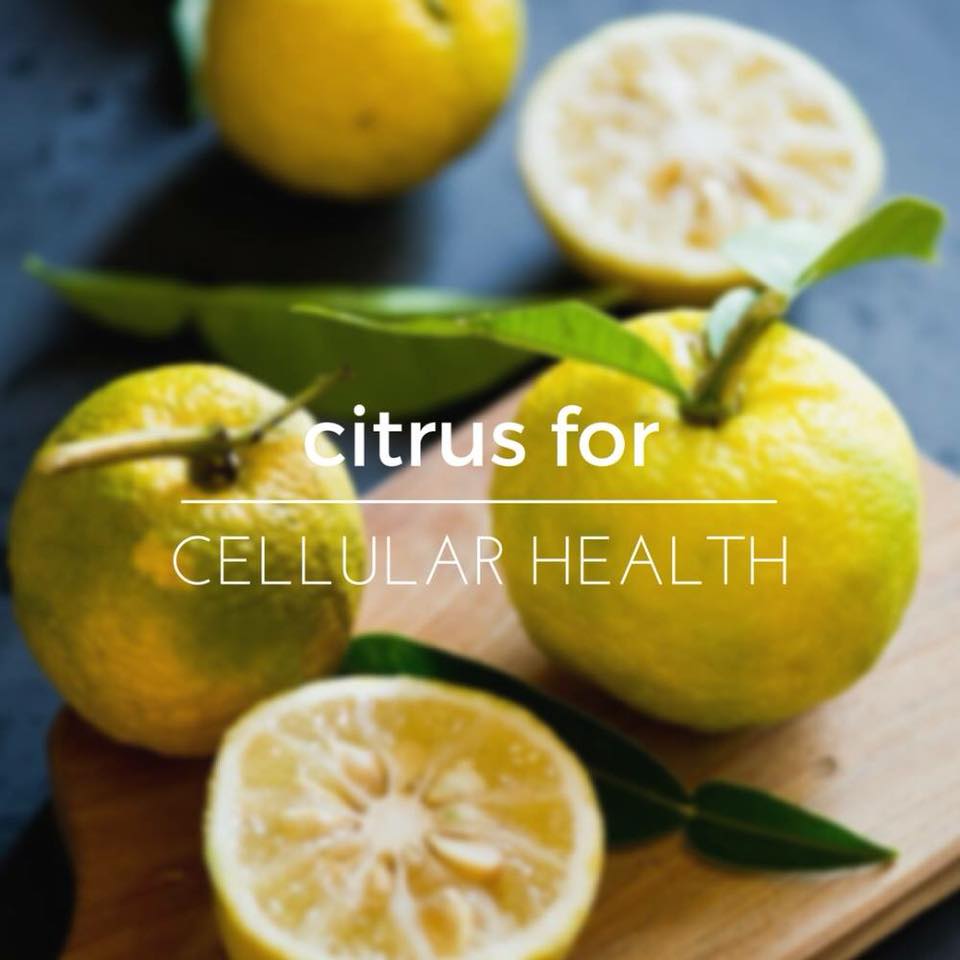 Citrus for Cellular Health