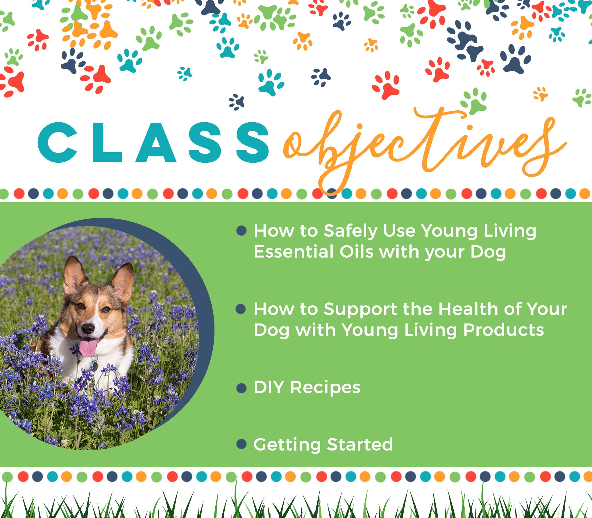  Which oils are safe to use?  How much can I apply?  Should I diffuse or apply topically?  These are our most asked questions when it comes to using essential oils on our dogs!   Whether you’re a beginner or an expert, here are a few things to keep i