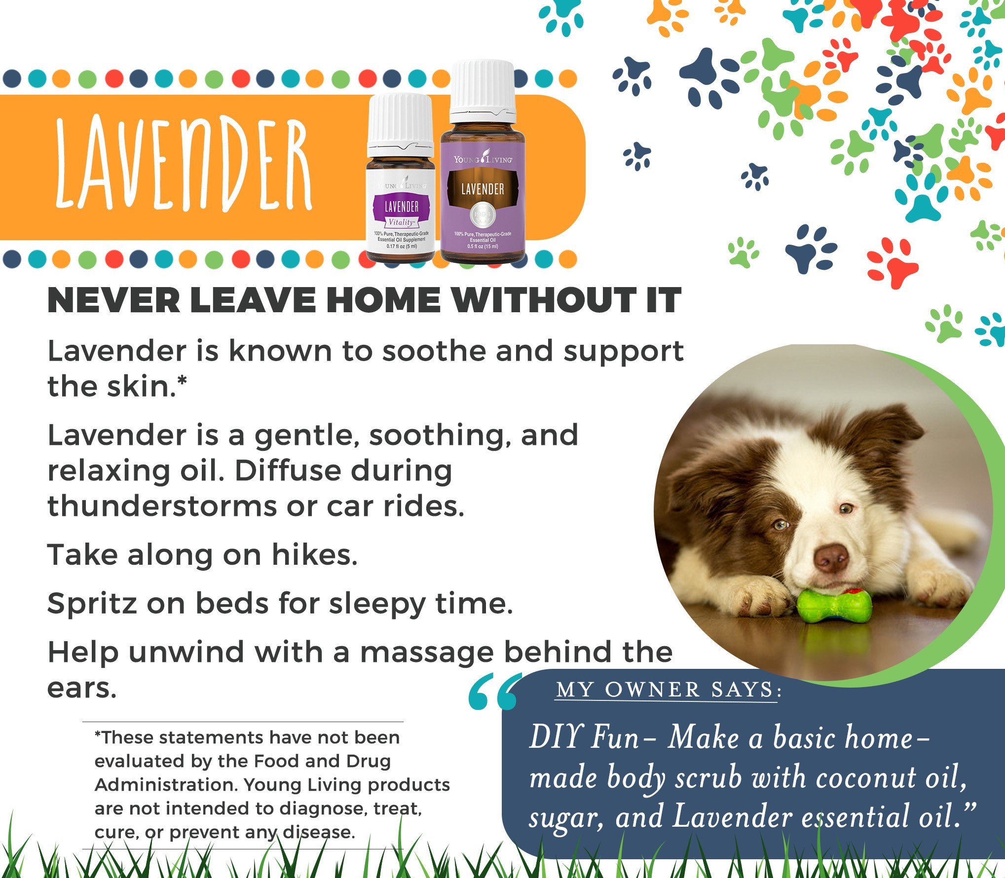  Young Living’s Lavender is registered as a NHP by Health Canada.&nbsp;    In Aromatherapy can be used topically:  • to help relieve joint or muscle pain associated with sprains, strains &amp; rheumatoid arthritis  • or inhaled can act as a nervine a