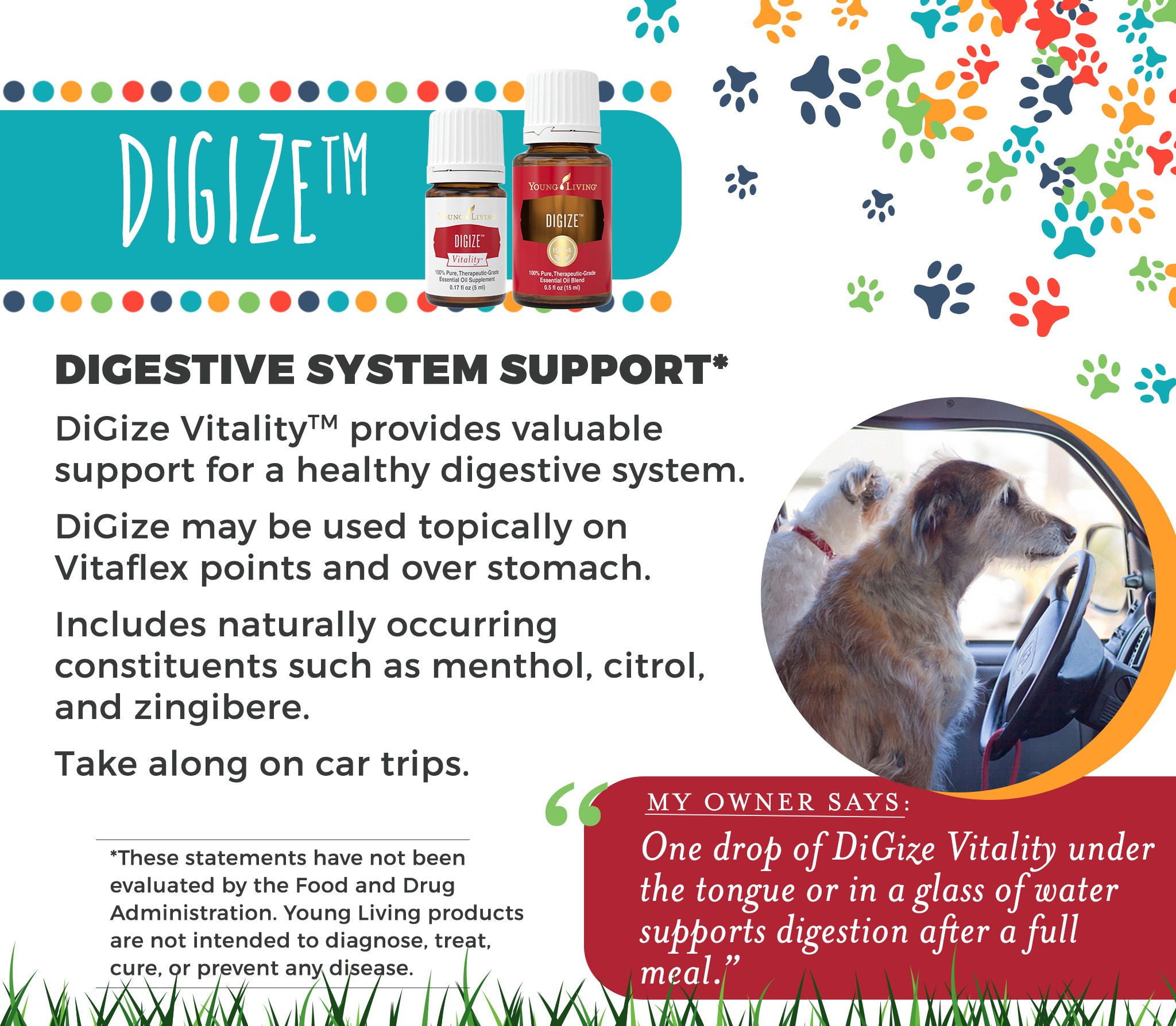 Digize