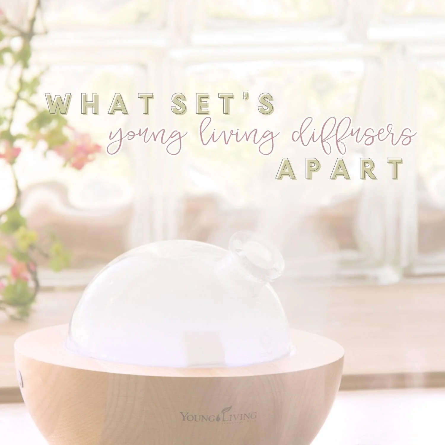 Young Living Diffusers