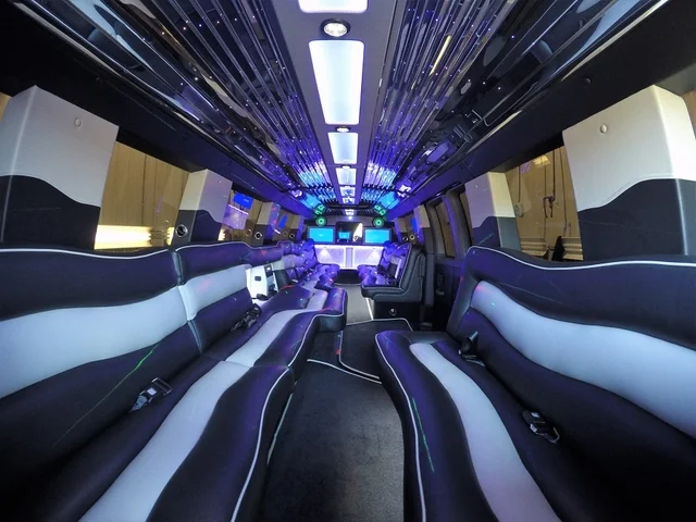 18 PASSENGER LIMO 